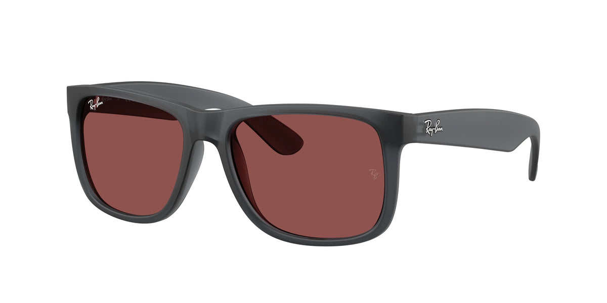 RAYBAN RB4165 55 687375