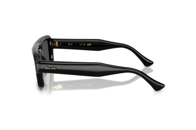 RAYBAN RB4954 54 601/87