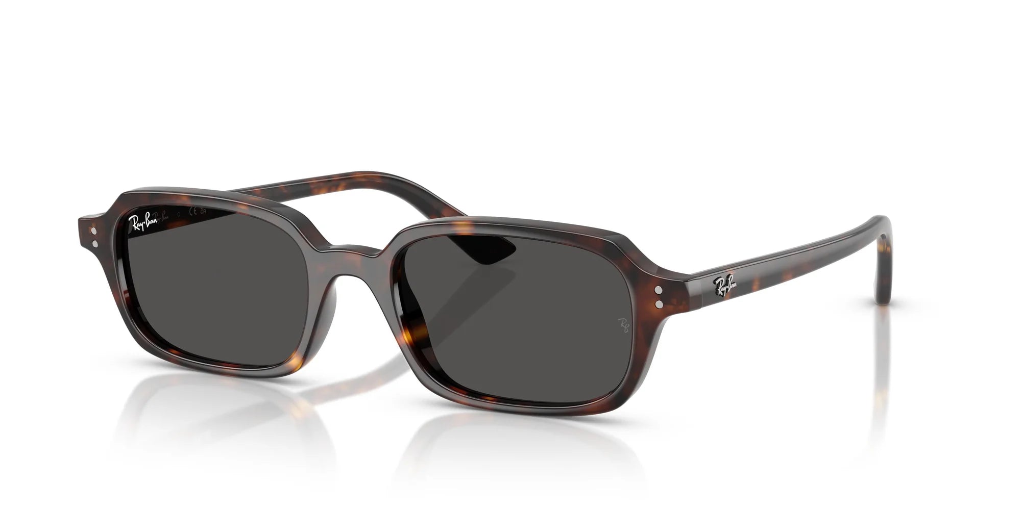 RAYBAN RB4455 52 135987