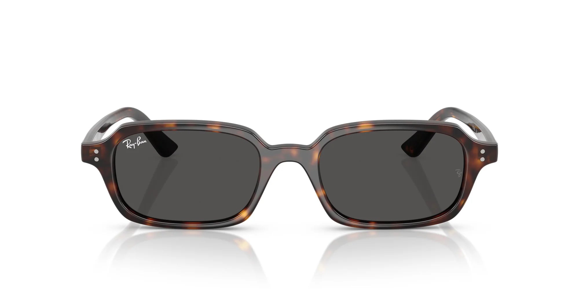 RAYBAN RB4455 52 135987