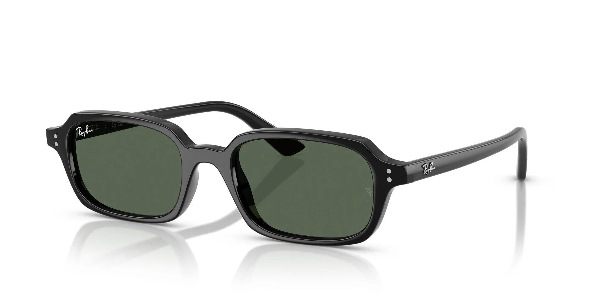 RAYBAN RB4455 52 667771