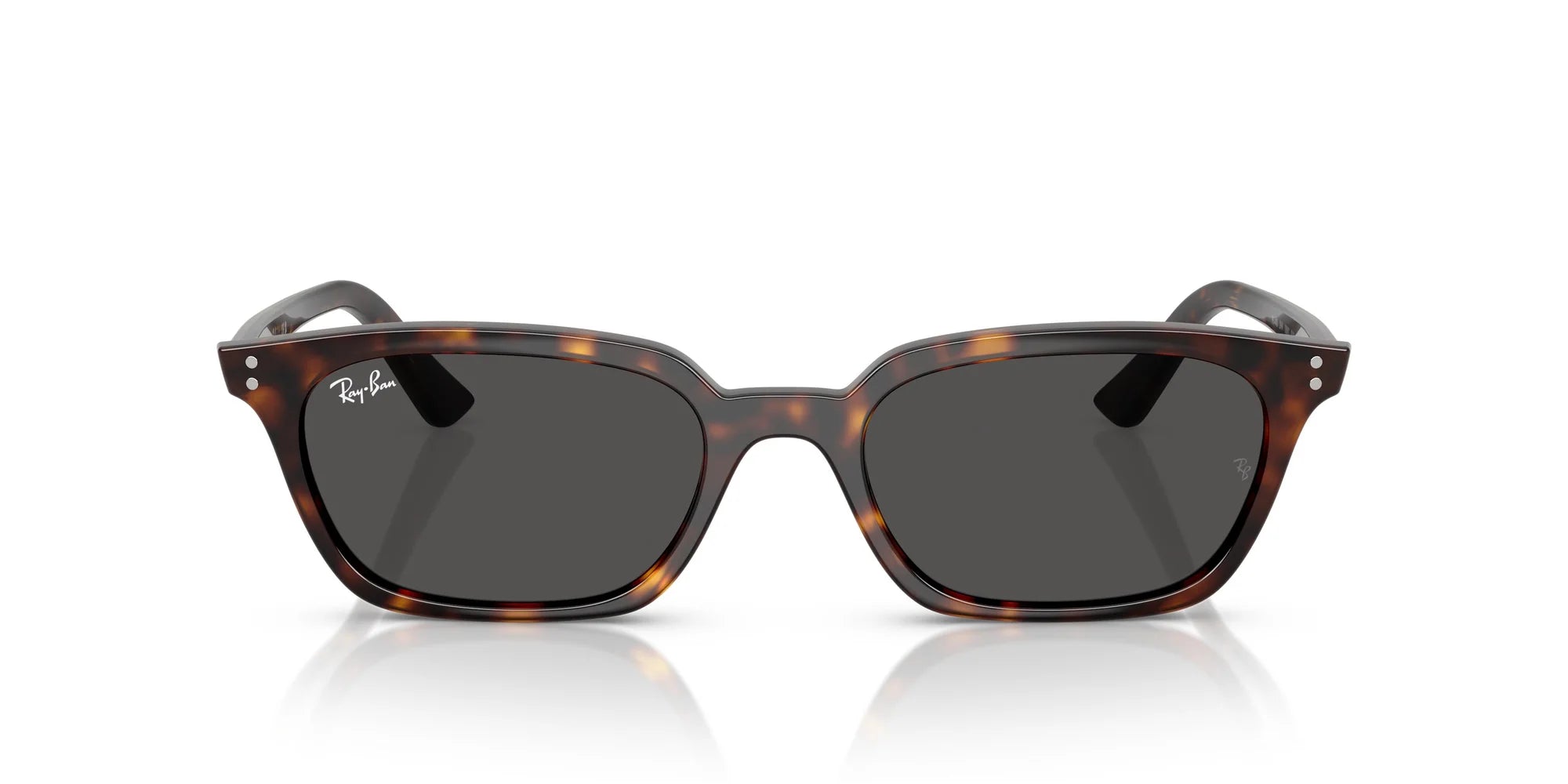 RAYBAN RB4456 53 135987