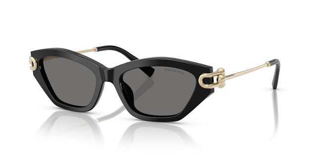 TIFFANY & CO. OTF4231U 53 800181